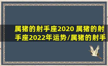 属猪的射手座2020 属猪的射手座2022年运势/属猪的射手座2020 属猪的射手座2022年运势-我的网站